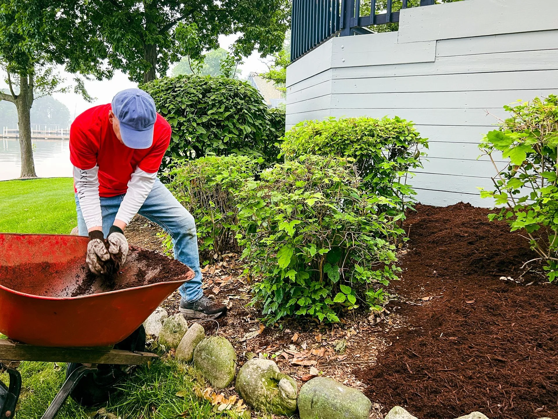 Person mulching a garden bed, using a wheelbarrow filled with mulch.
