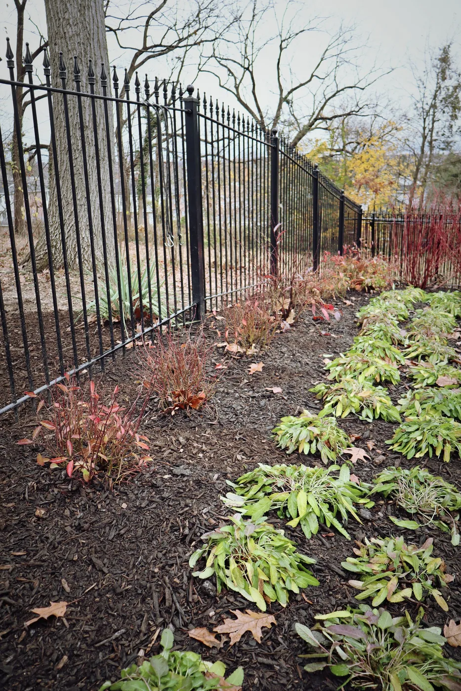 Landscaping work and property preparation by Final Grade
