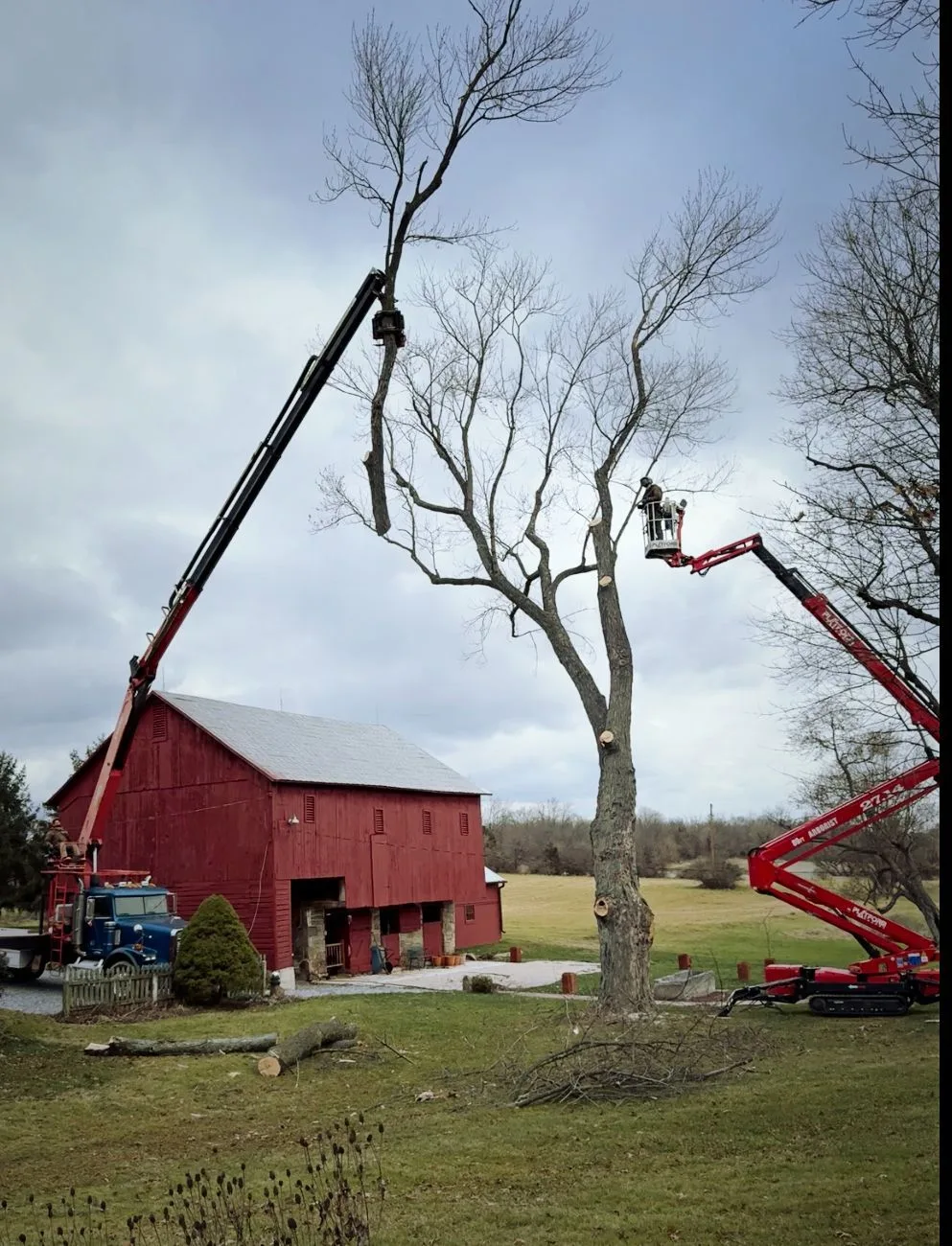 Tree service equipment